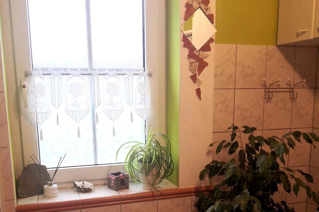 Kleine Einzigartige Ferienwohnung Auf Dem Bauernhof, Direkt In Der Natur Mit Blick Auf Schloss Braunfels Luaran gambar