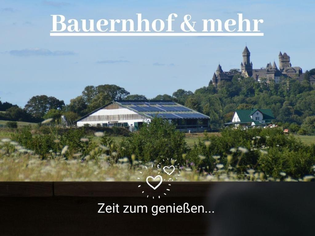 Kleine Einzigartige Ferienwohnung Auf Dem Bauernhof, Direkt In Der Natur Mit Blick Auf Schloss Braunfels Luaran gambar