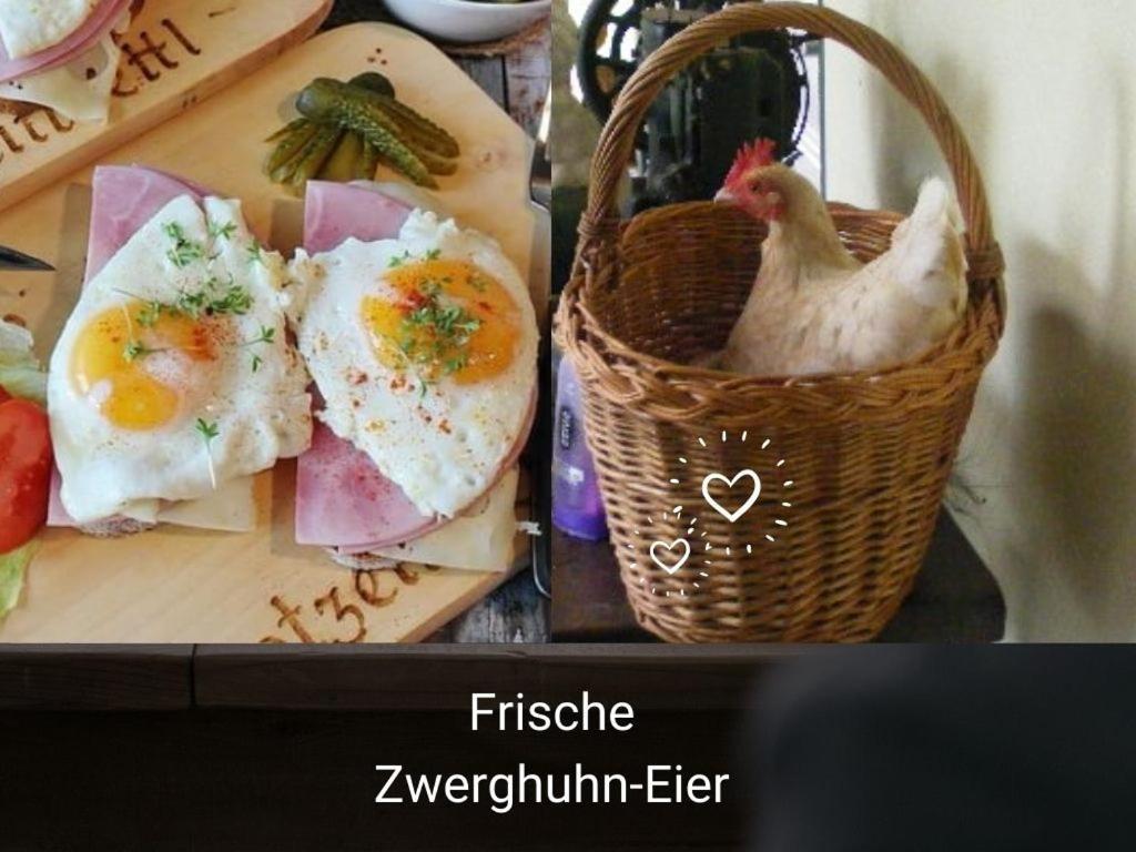 Kleine Einzigartige Ferienwohnung Auf Dem Bauernhof, Direkt In Der Natur Mit Blick Auf Schloss Braunfels Luaran gambar