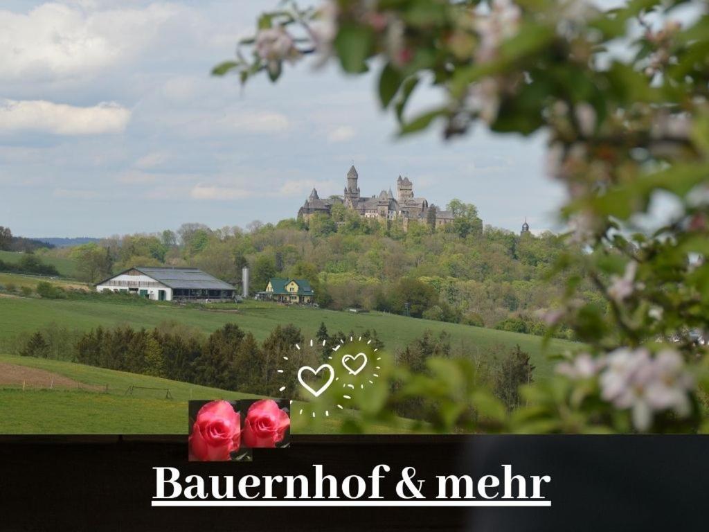 Kleine Einzigartige Ferienwohnung Auf Dem Bauernhof, Direkt In Der Natur Mit Blick Auf Schloss Braunfels Luaran gambar